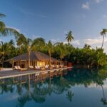 Exploring Africa’s Halal-Friendly Safari Adventures