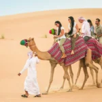 Top Halal Desert Safari Experiences in Dubai & Beyond