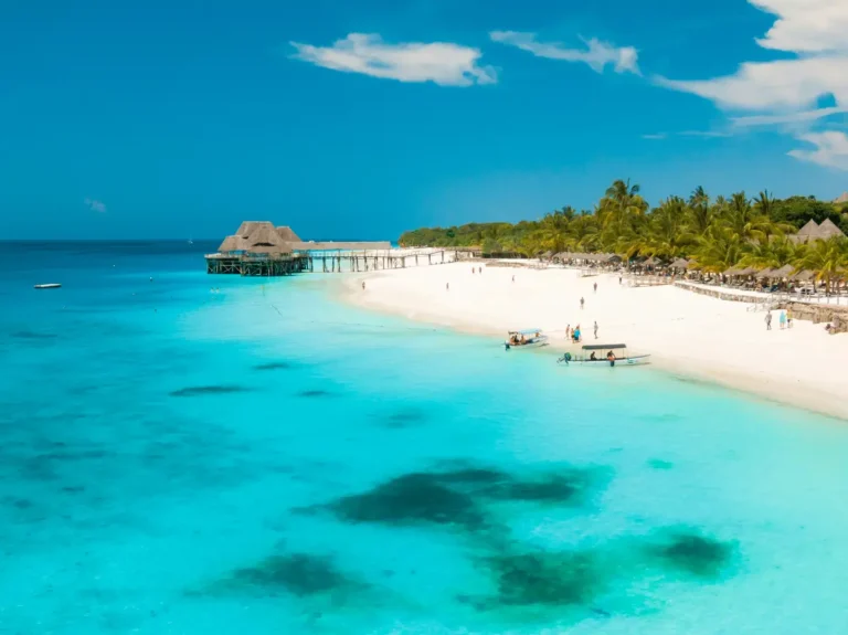 White sand beach with palm trees and a wooden pier in Zanzibar
